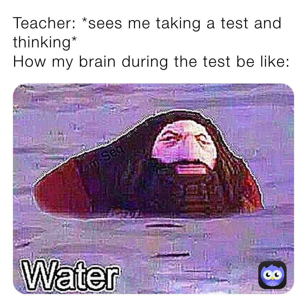 #randompost #idk
