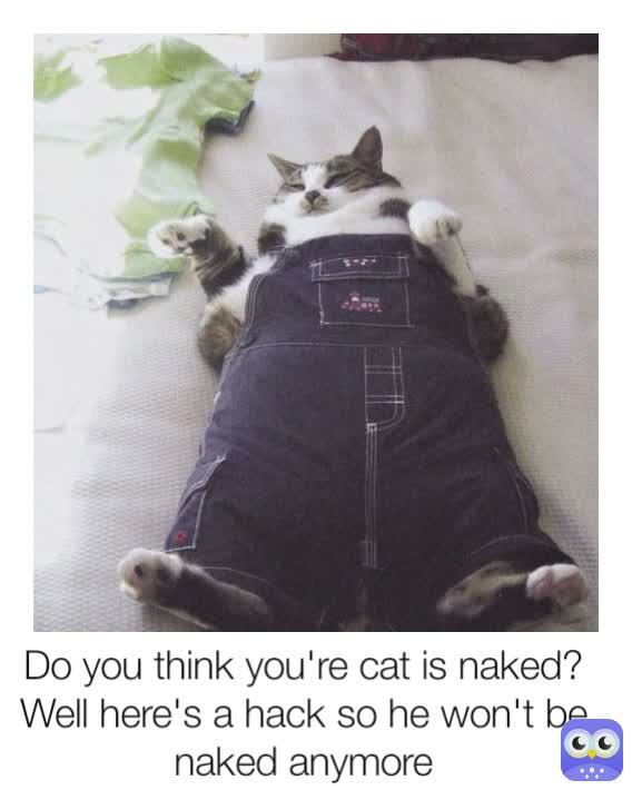 Meme by buurmantenus