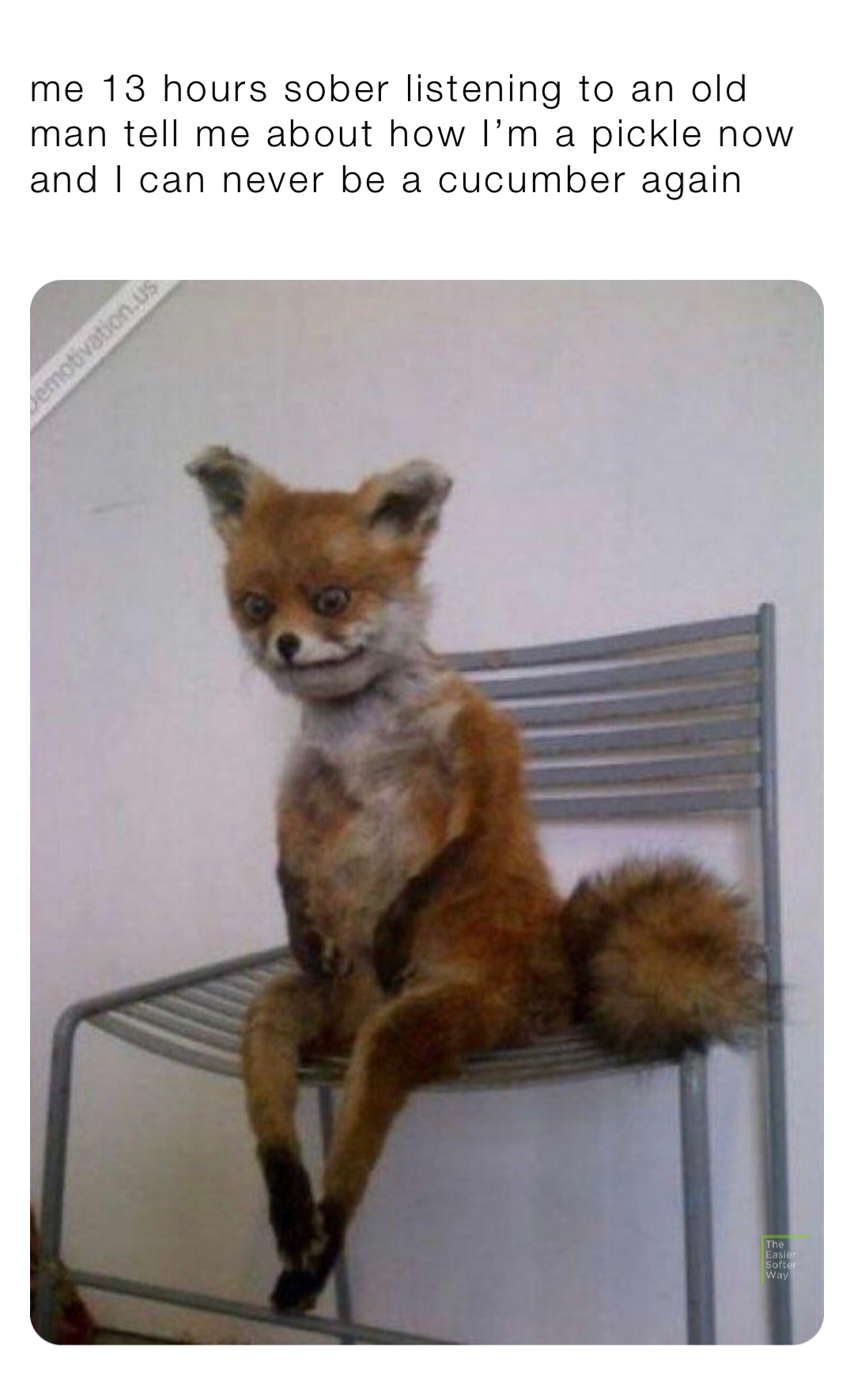 me 13 hours sober listening to an old man tell me about how I’m a pickle now and I can never be a cucumber again