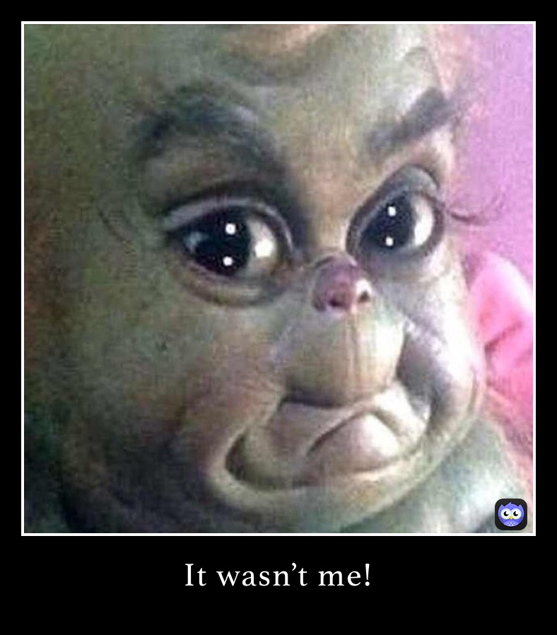 It wasn’t me!