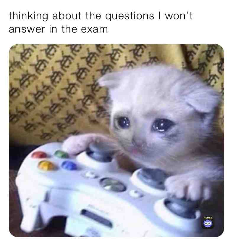 #exams #cats #cat #tears #games #marks