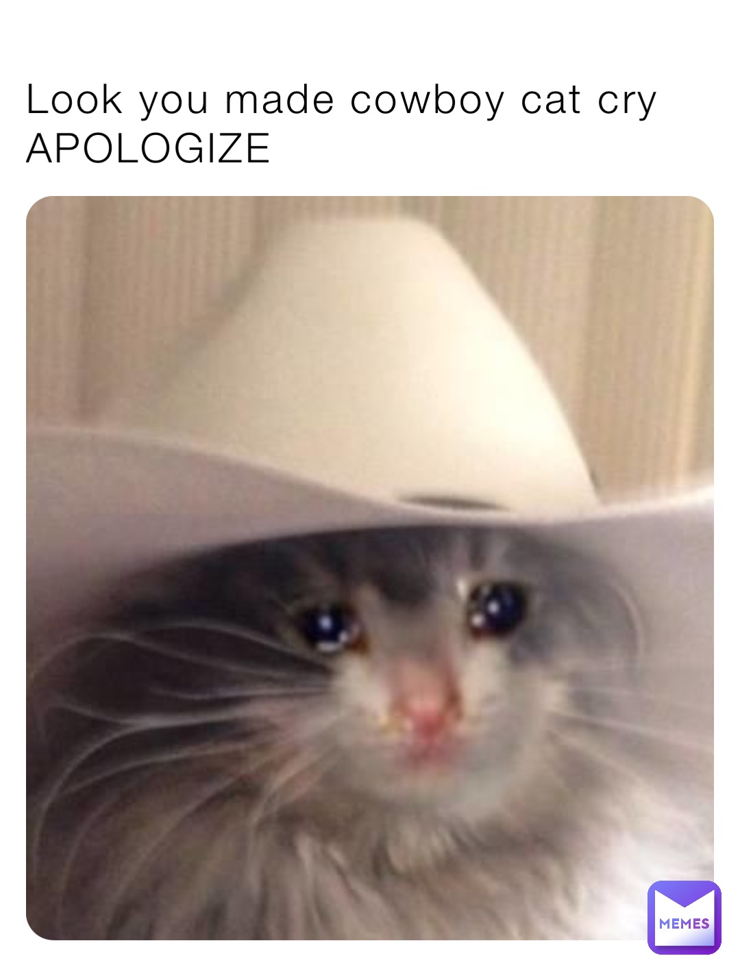 Look you made cowboy cat cry APOLOGIZE