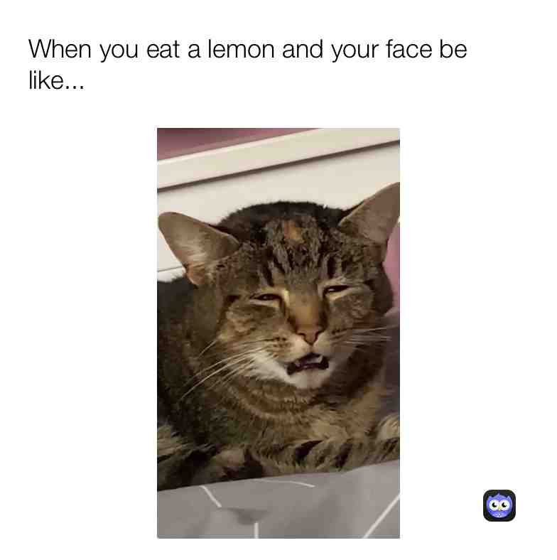 Meme shared by @Pop_TheKiller