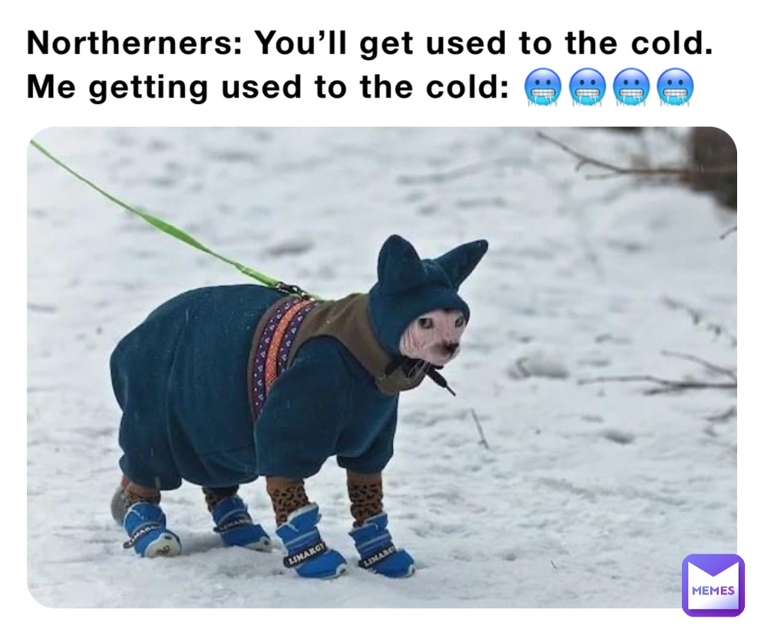 Northerners You’ll get used to the cold. Me getting used to the cold