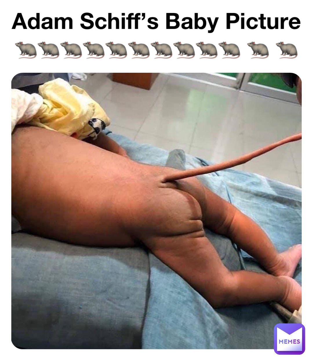 Adam Schiff’s Baby Picture
🐀🐀🐀🐀🐀🐀🐀🐀🐀🐀 🐀 🐀