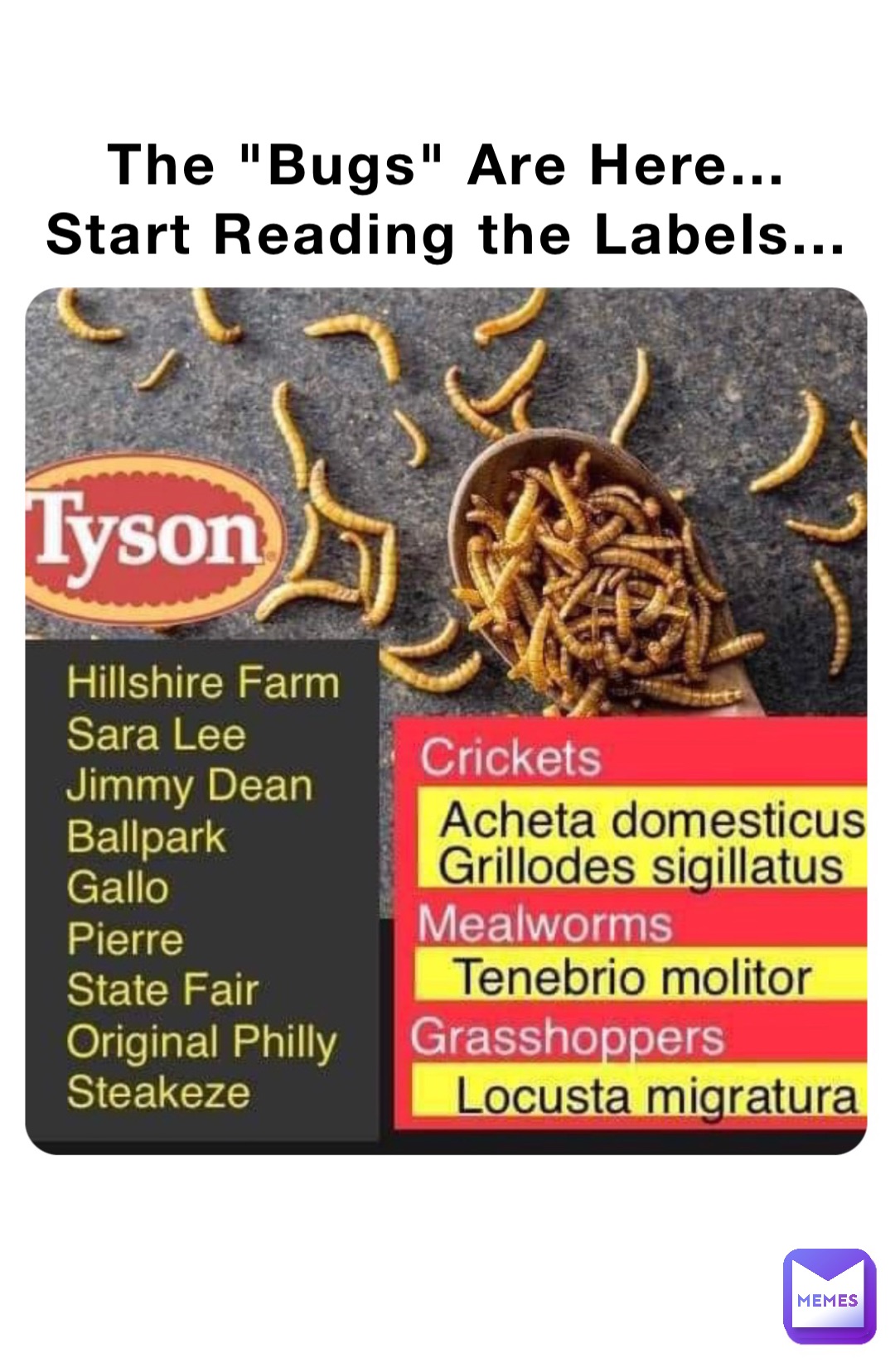 The "Bugs" Are Here...
Start Reading the Labels... Double tap to edit