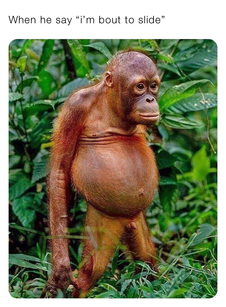 Meme by thecrocsboutique