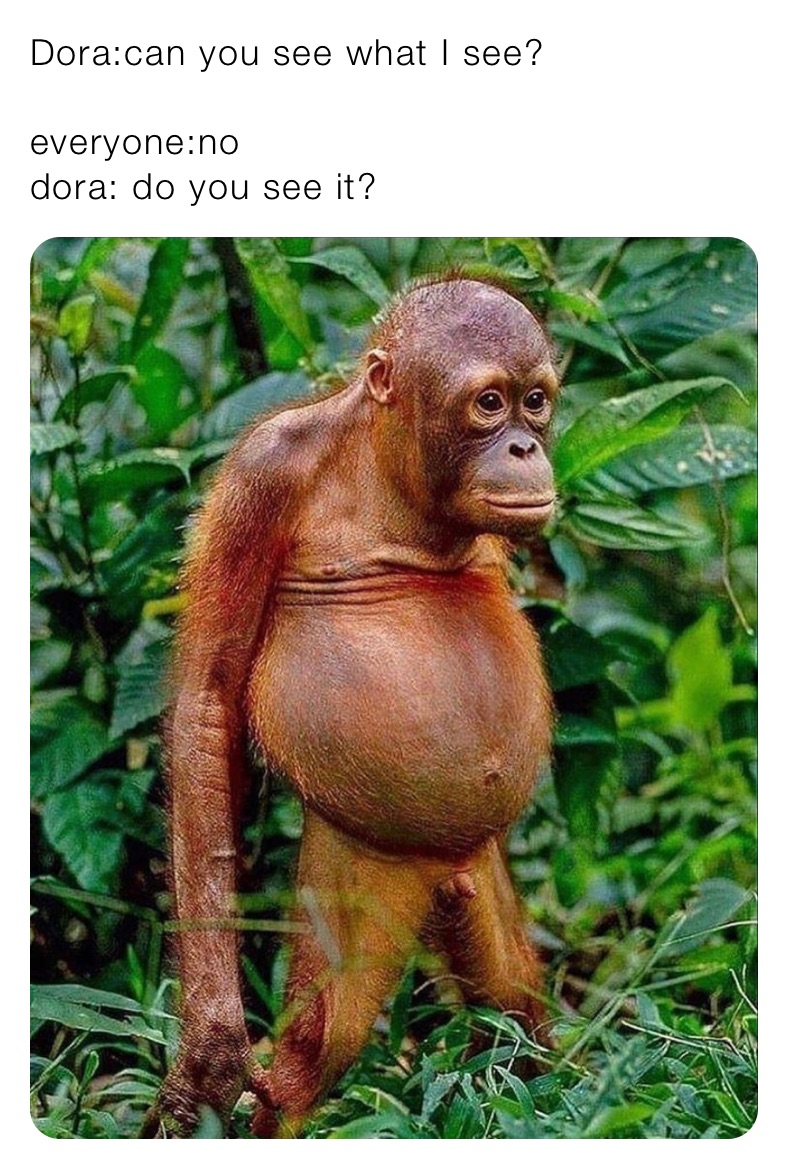 Dora:can you see what I see?

everyone:no
dora: do you see it?