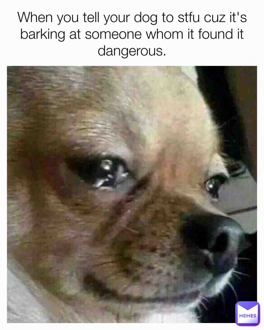 Meme shared by @Frexie