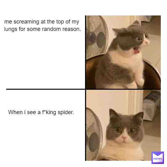 This is definetly me #THE FUcKING TRUTH