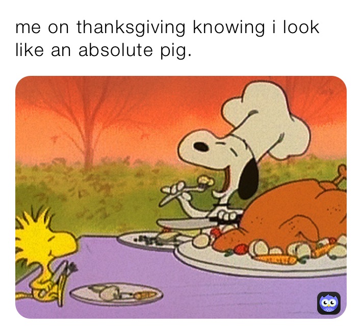 me on thanksgiving knowing i look like an absolute pig.