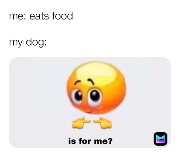 me: eats food

my dog: