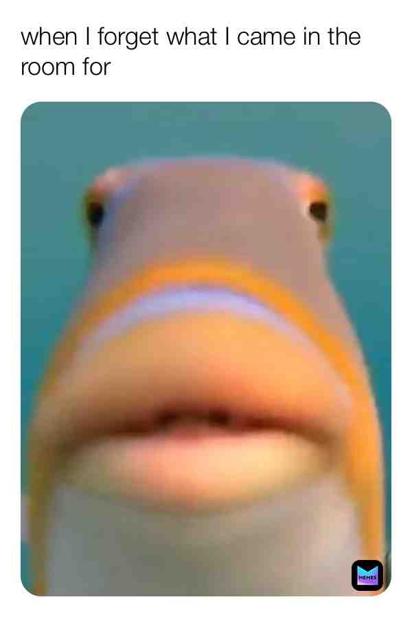 Meme shared by @pg13memes