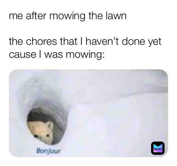 Meme shared by @pg13memes