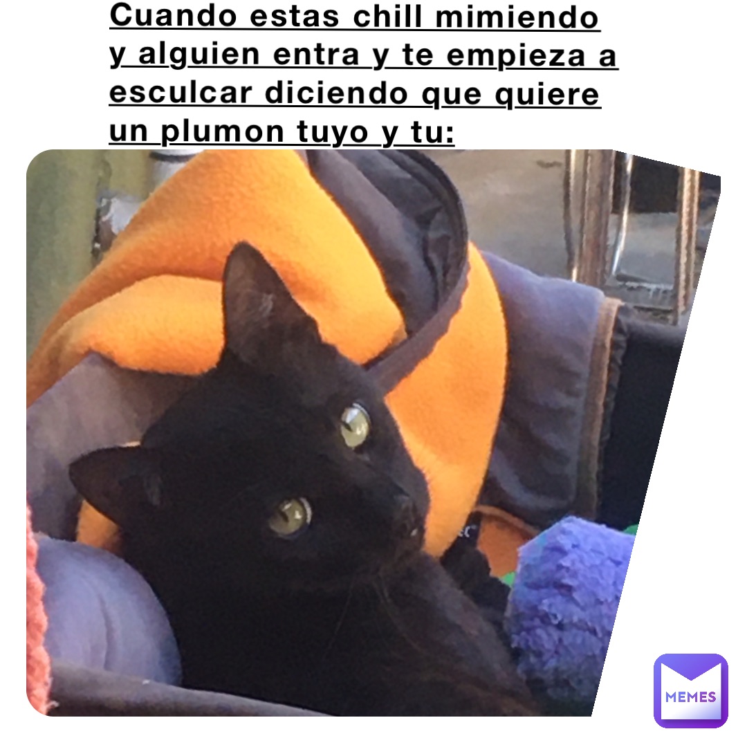Cuando estas chill mimiendo y alguien entra y te empieza a esculcar diciendo que quiere un plumon tuyo y tu: