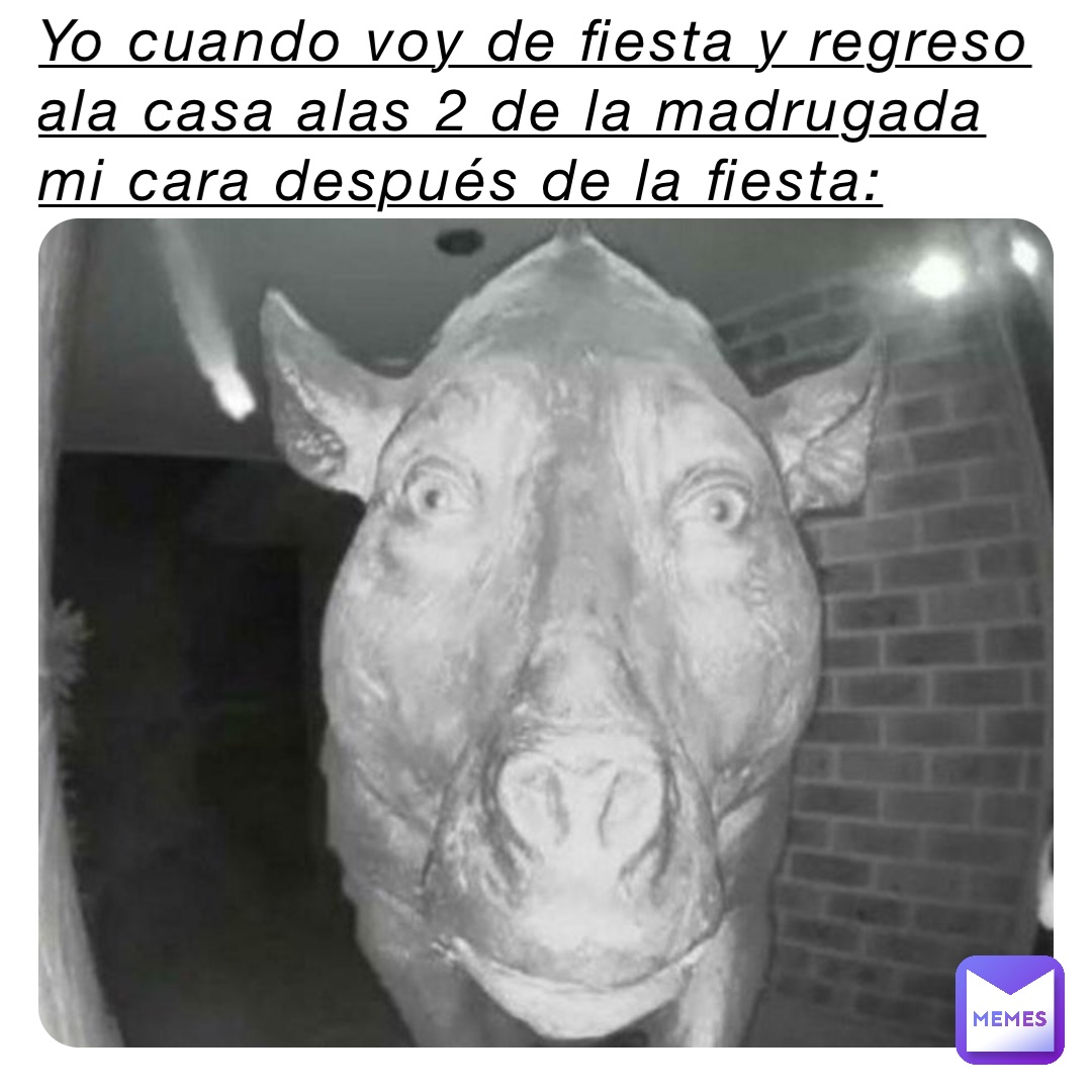 Yo cuando voy de fiesta y regreso ala casa alas 2 de la madrugada mi cara después de la fiesta: