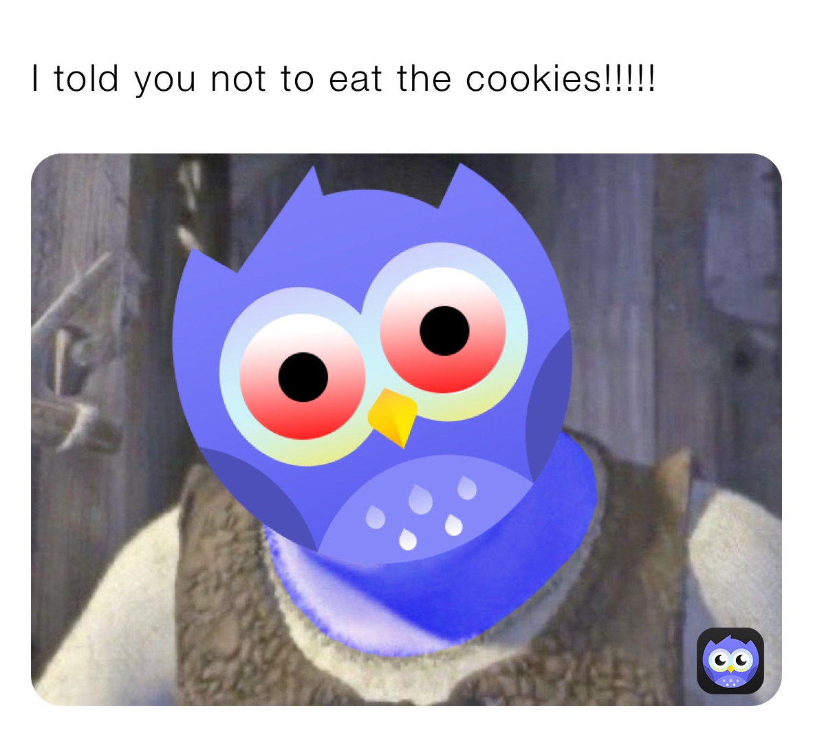 I told you not to eat the cookies!!!!!￼￼