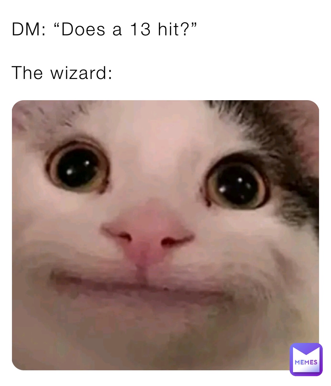 DM: “Does a 13 hit?”

The wizard: