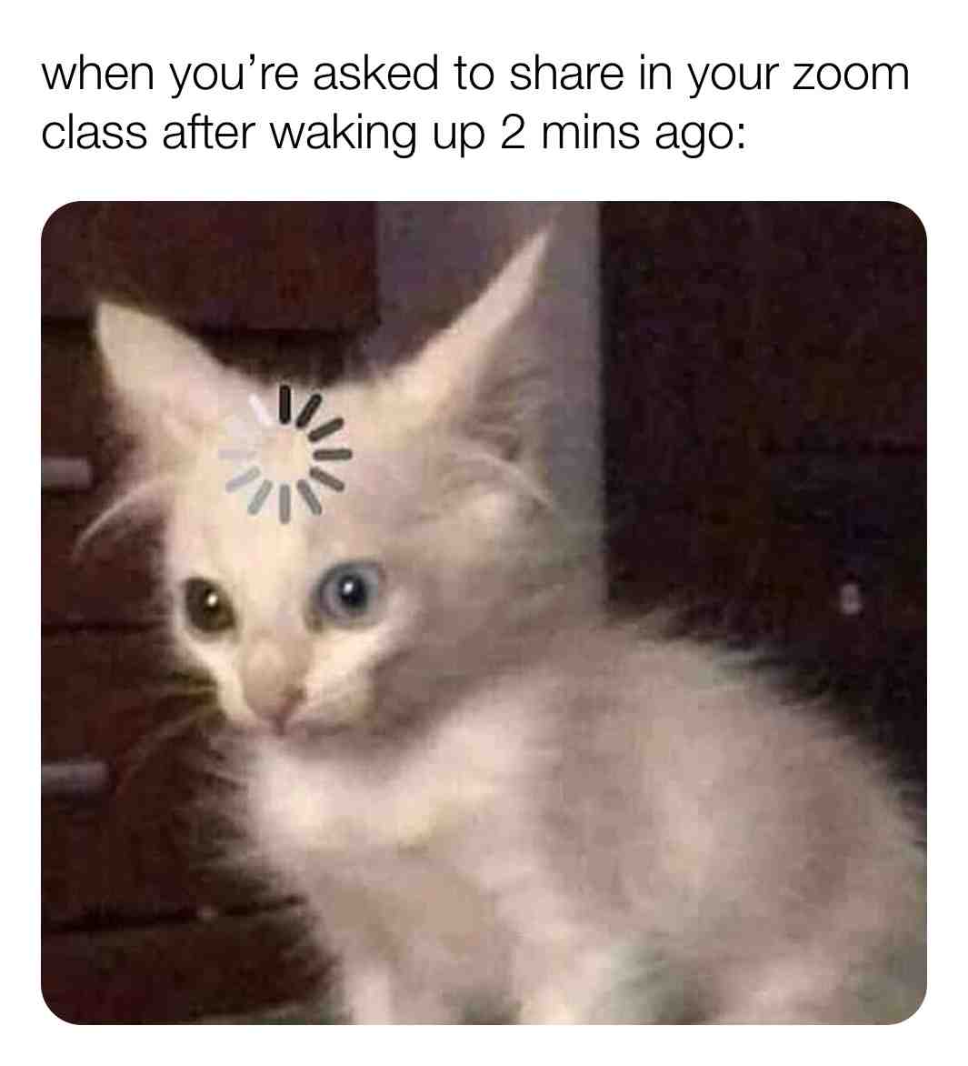 Ummm...