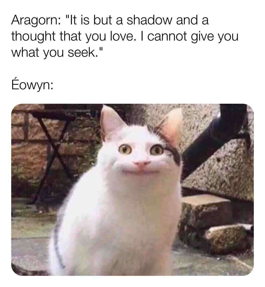 Got that elf on a shelf