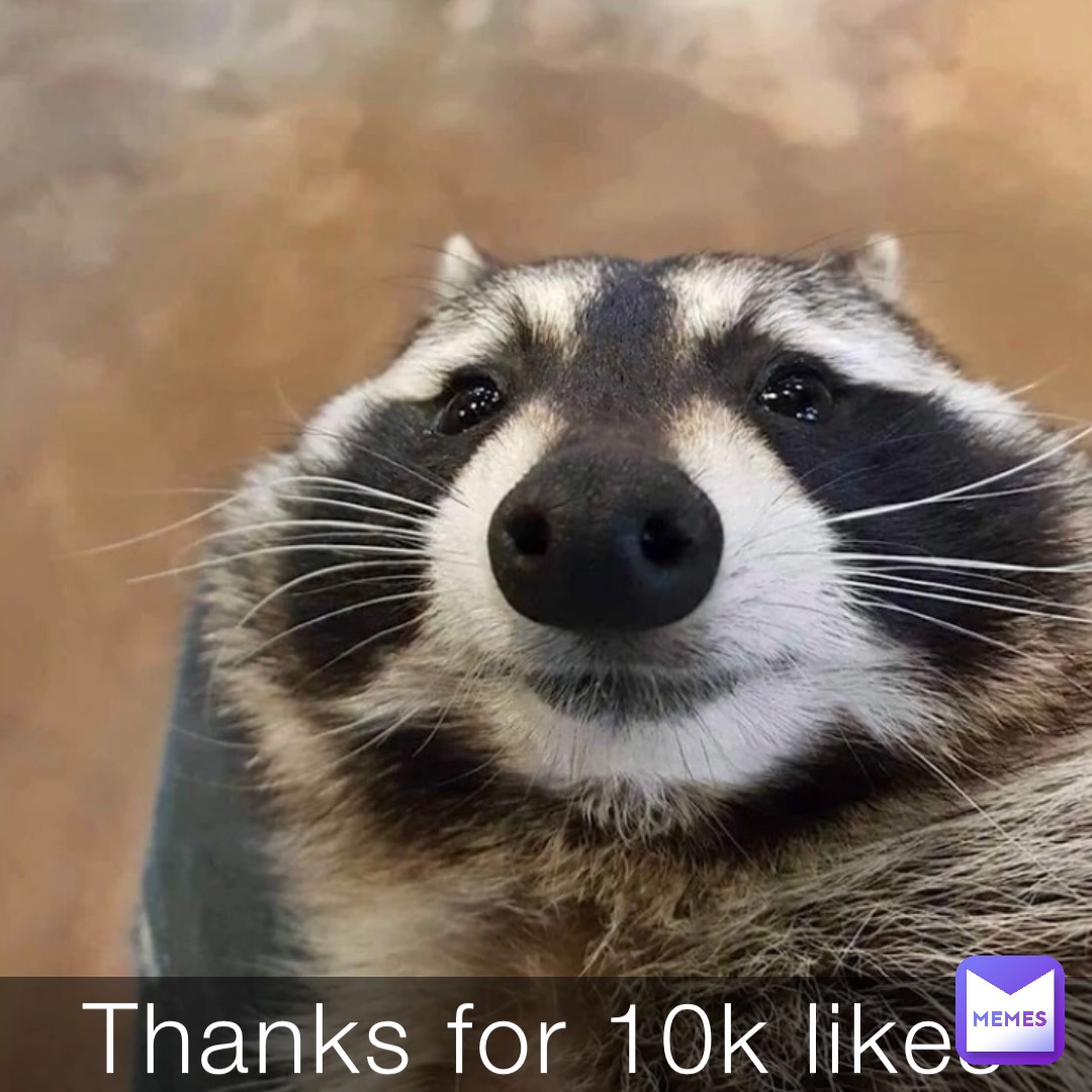 Thanks for 10k likes