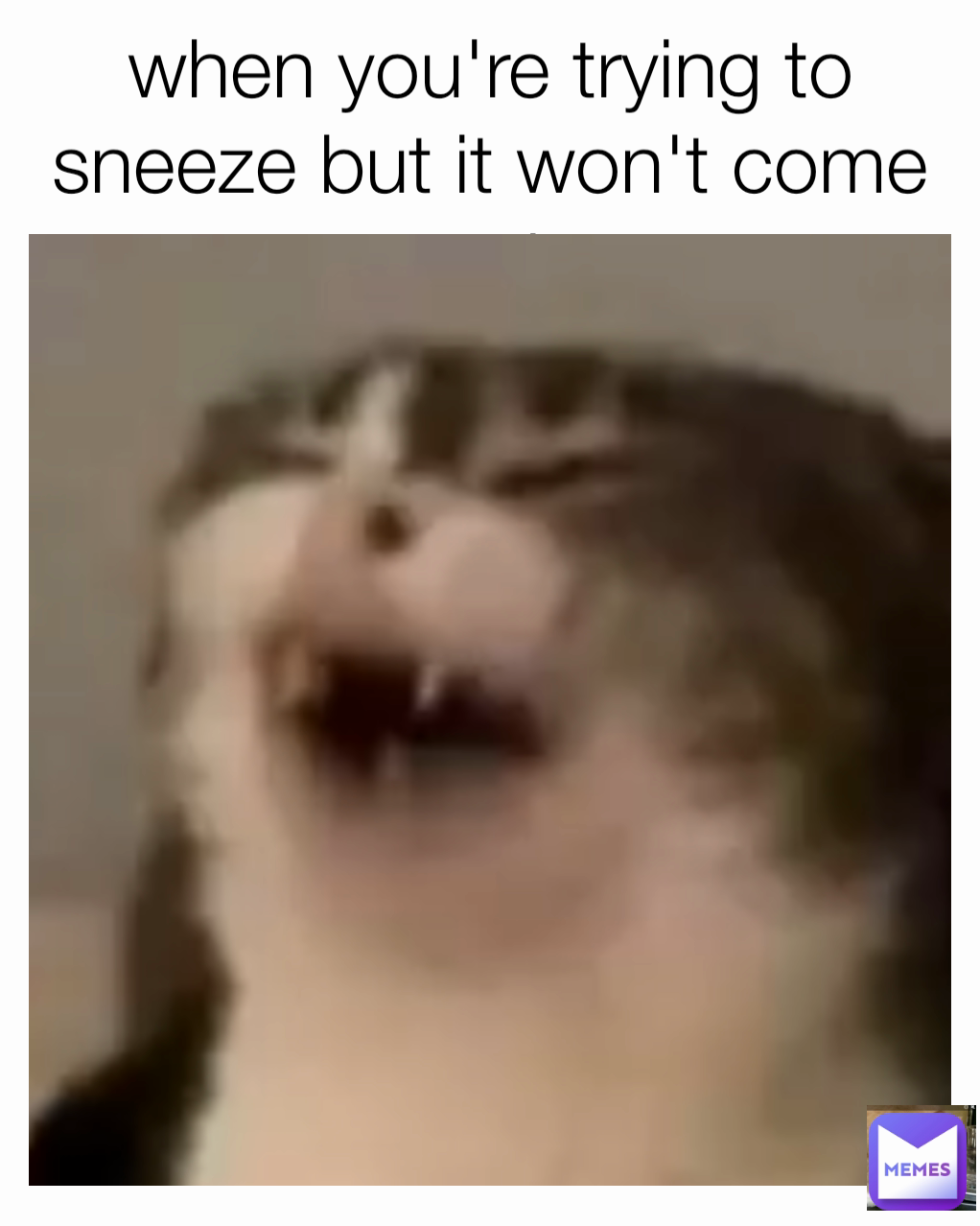 Meme by Summeroliver