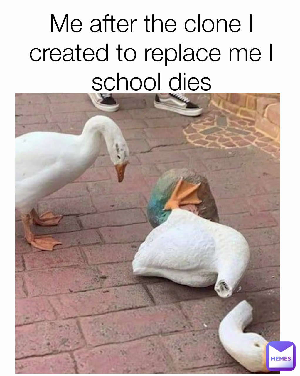 Meme by Summeroliver