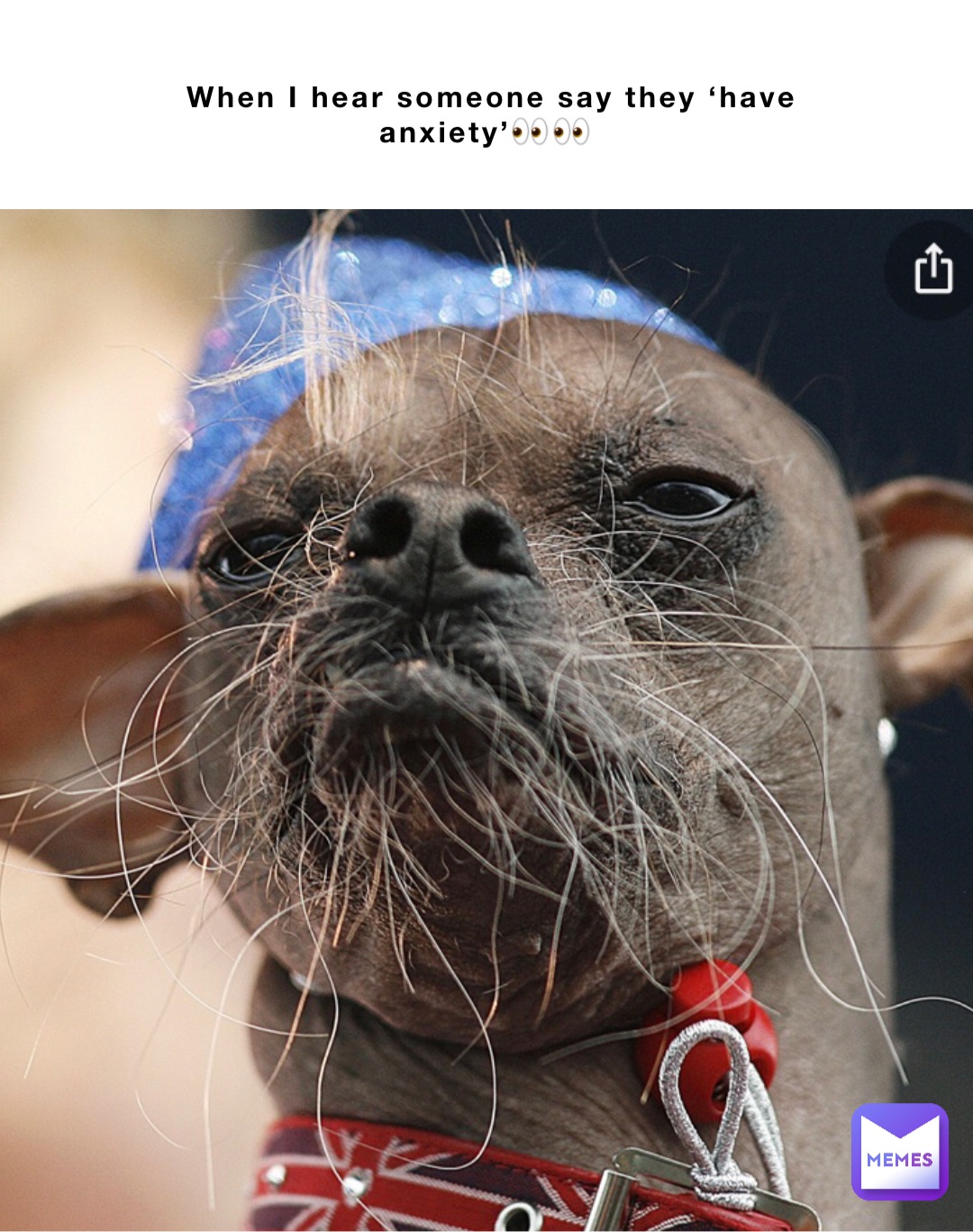 Meme by becker_z_hecker