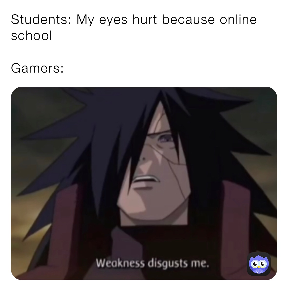 Students: My eyes hurt because online school

Gamers: