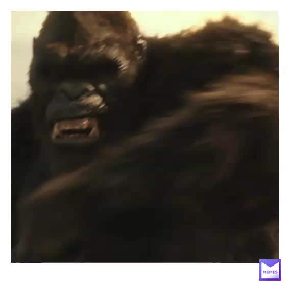 #dankmemes