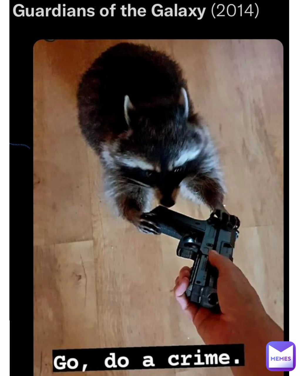 Meme by Memesnobodylaughsat