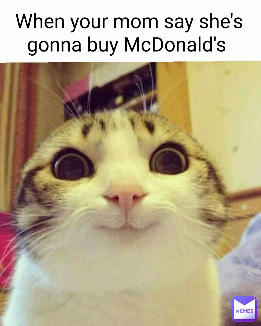 Meme by Memesnobodylaughsat