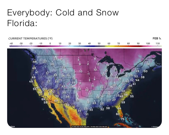 Everybody: Cold and Snow
Florida: 