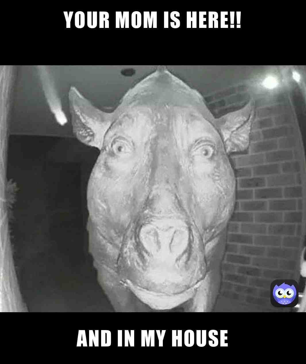 YOUR MOM IS IN MY HOUSE