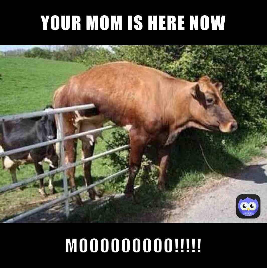 Meme shared by @Saradatchukid