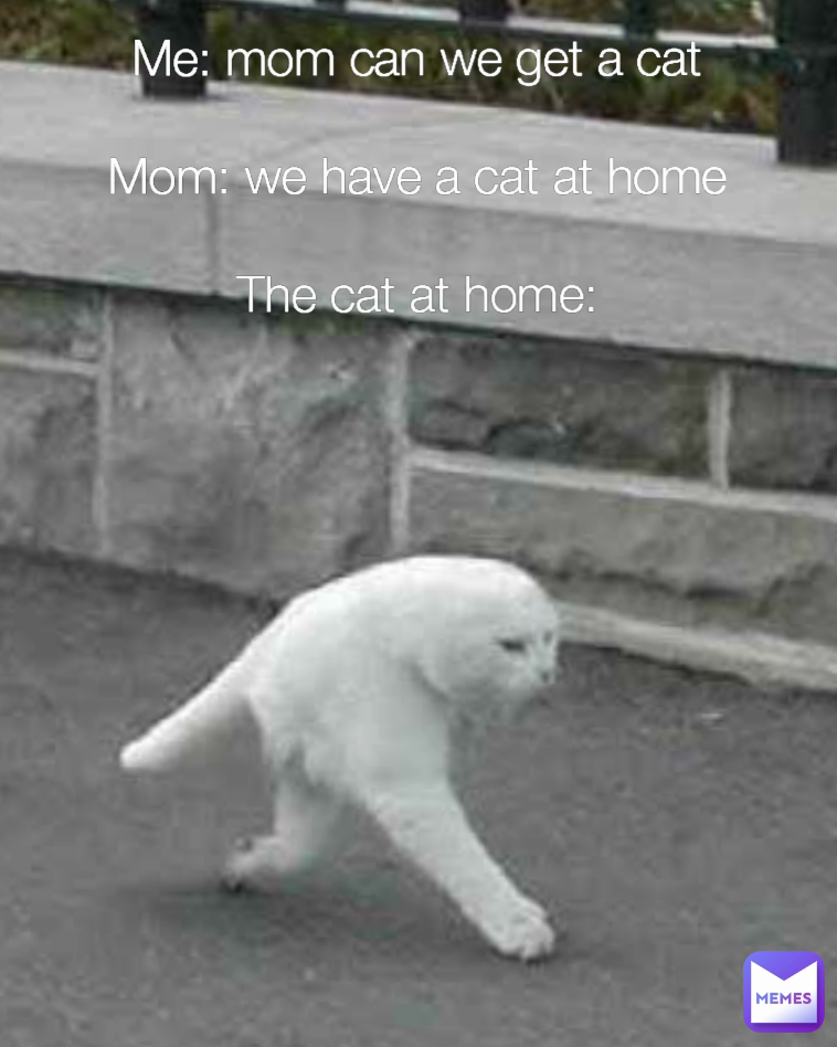 Me: mom can we get a cat

Mom: we have a cat at home

The cat at home: