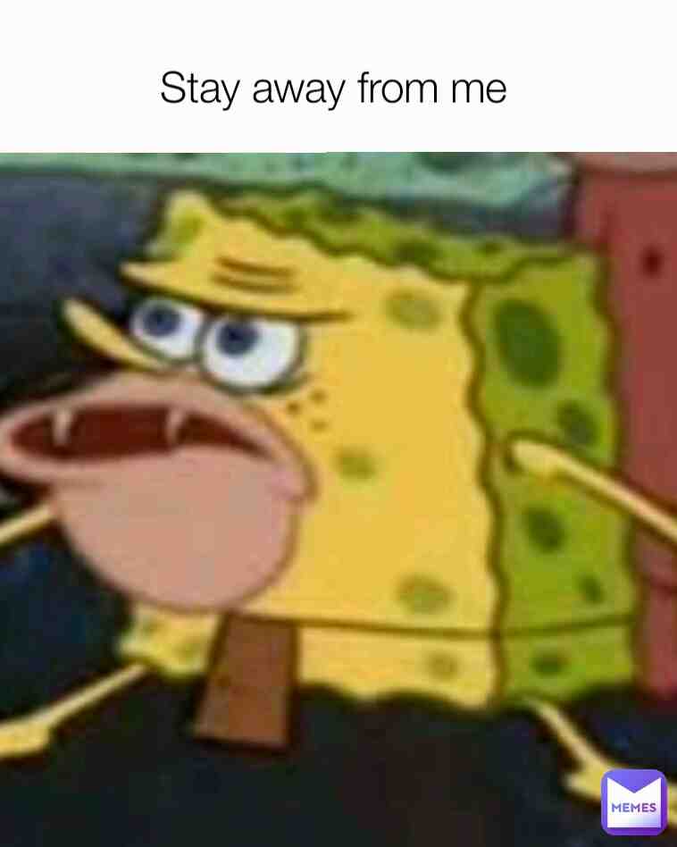 sponge