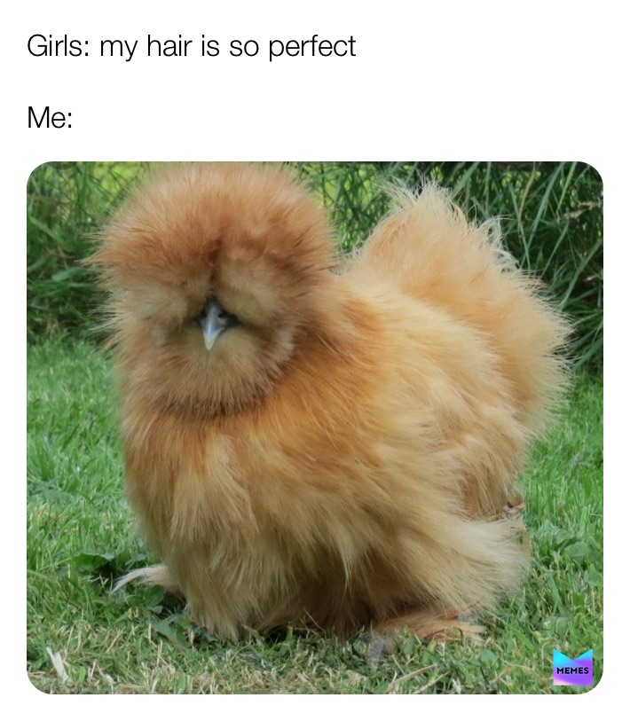 Meme by Fluffy_Chicken_finger