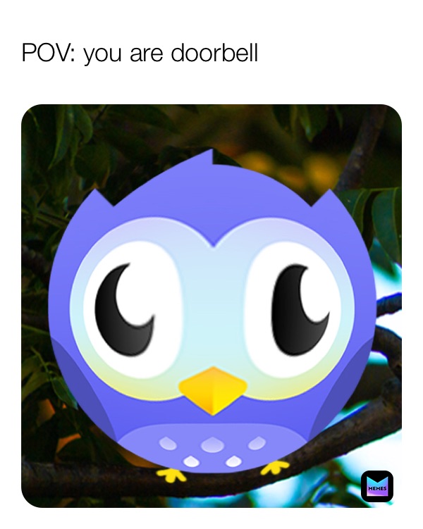POV: you are doorbell