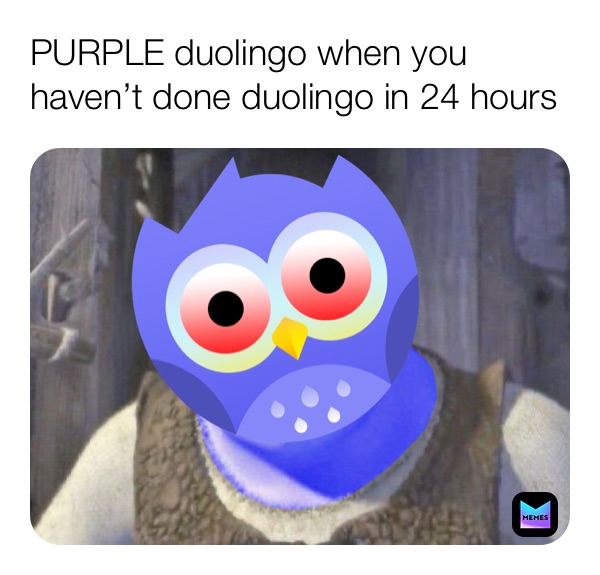 PURPLE duolingo when you haven’t done duolingo in 24 hours