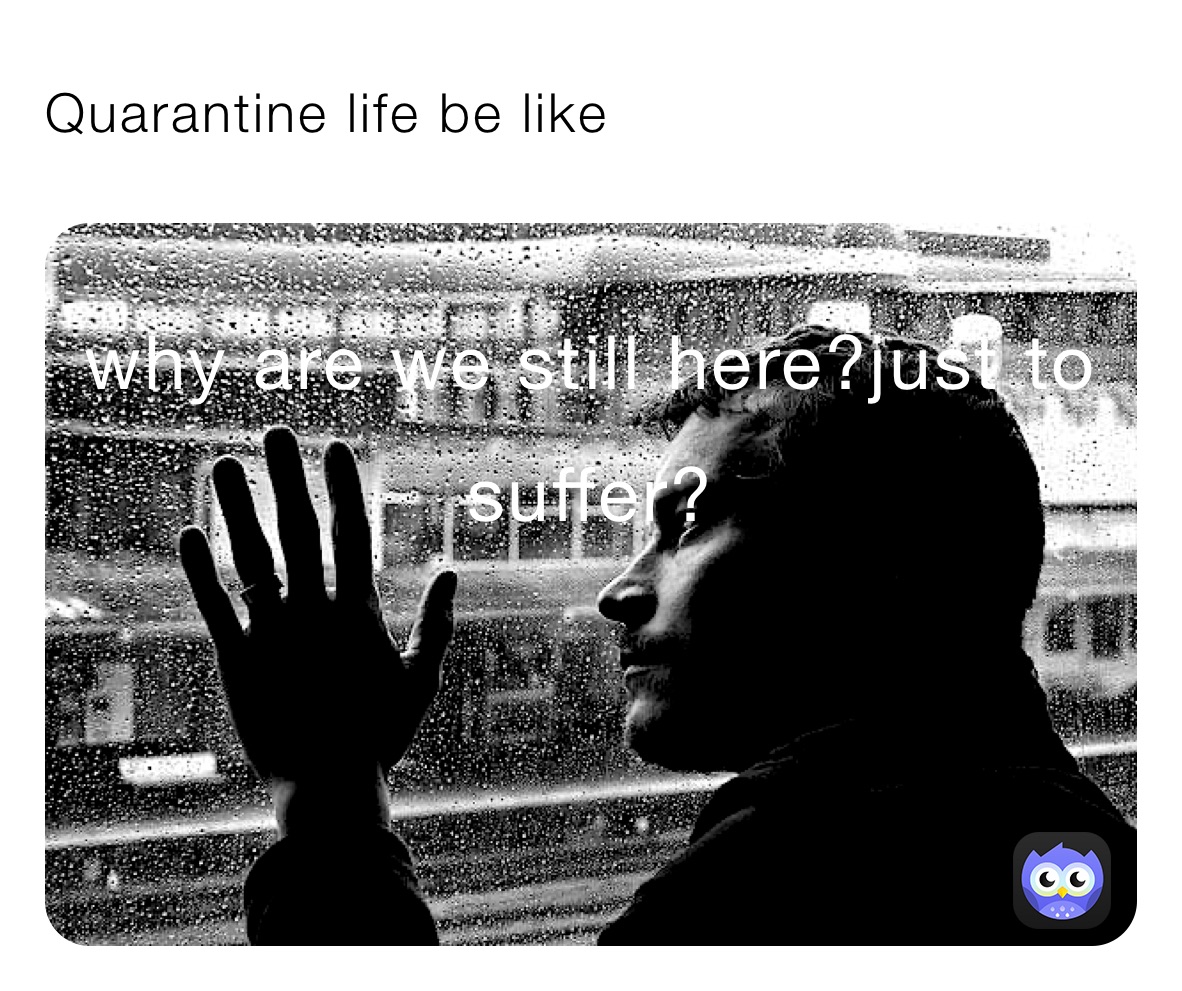 Quarantine life be like