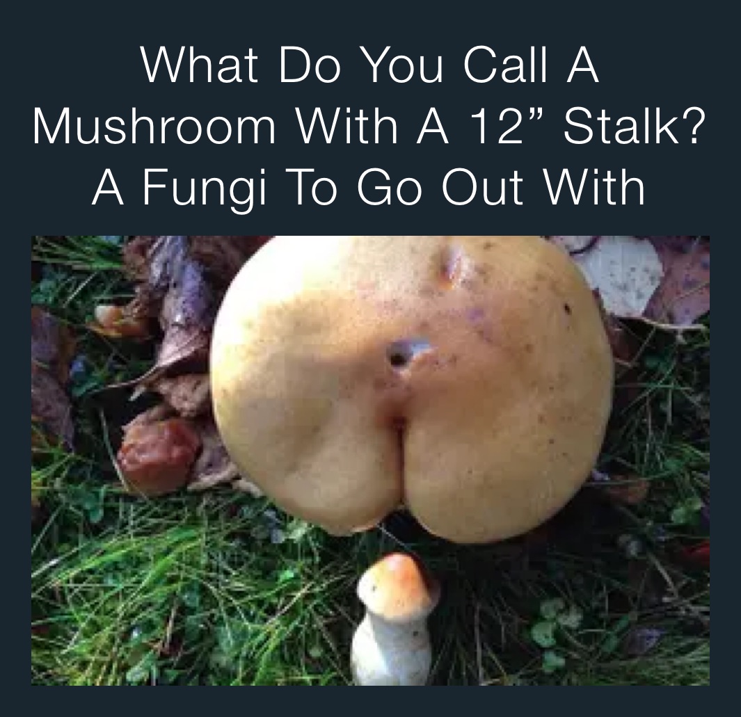 What Do You Call A Mushroom With A 12” Stalk?
A Fungi To Go Out With