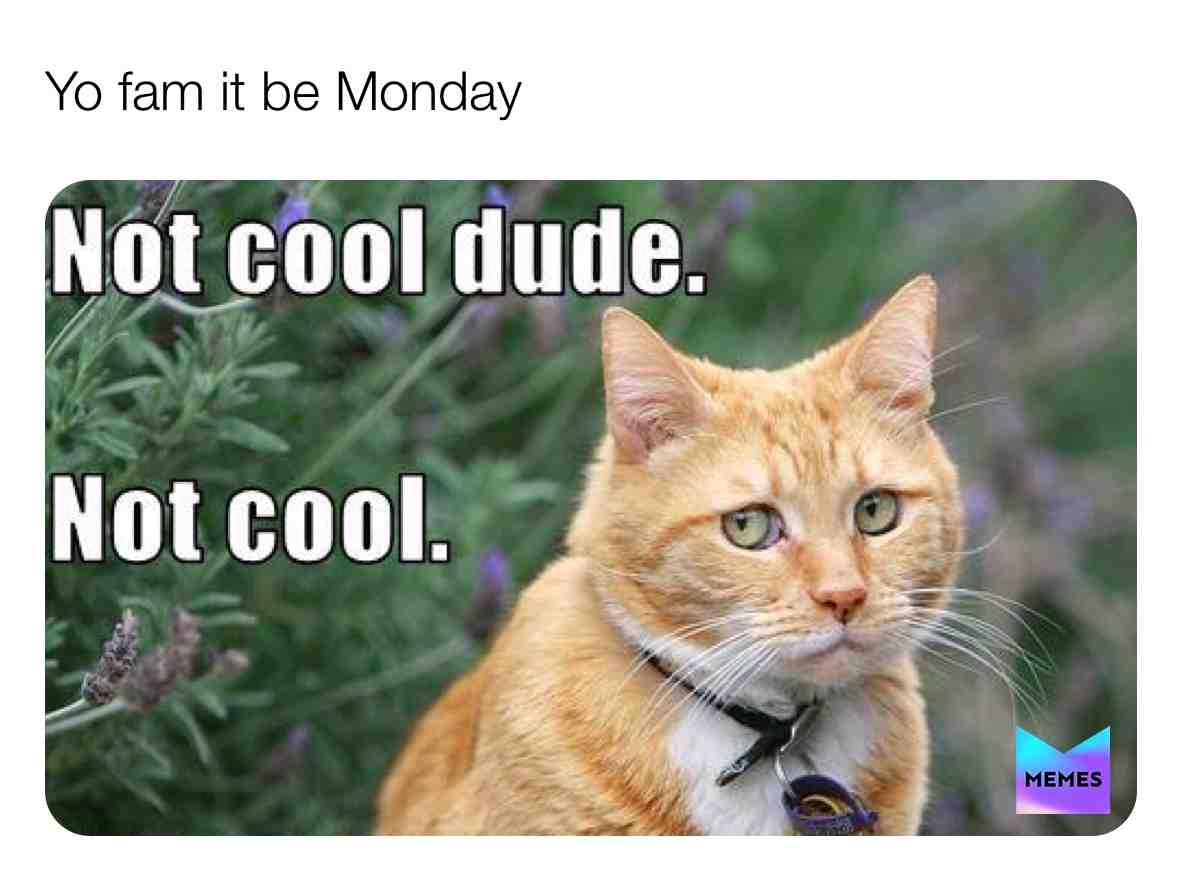 #yofam #fam #notcool