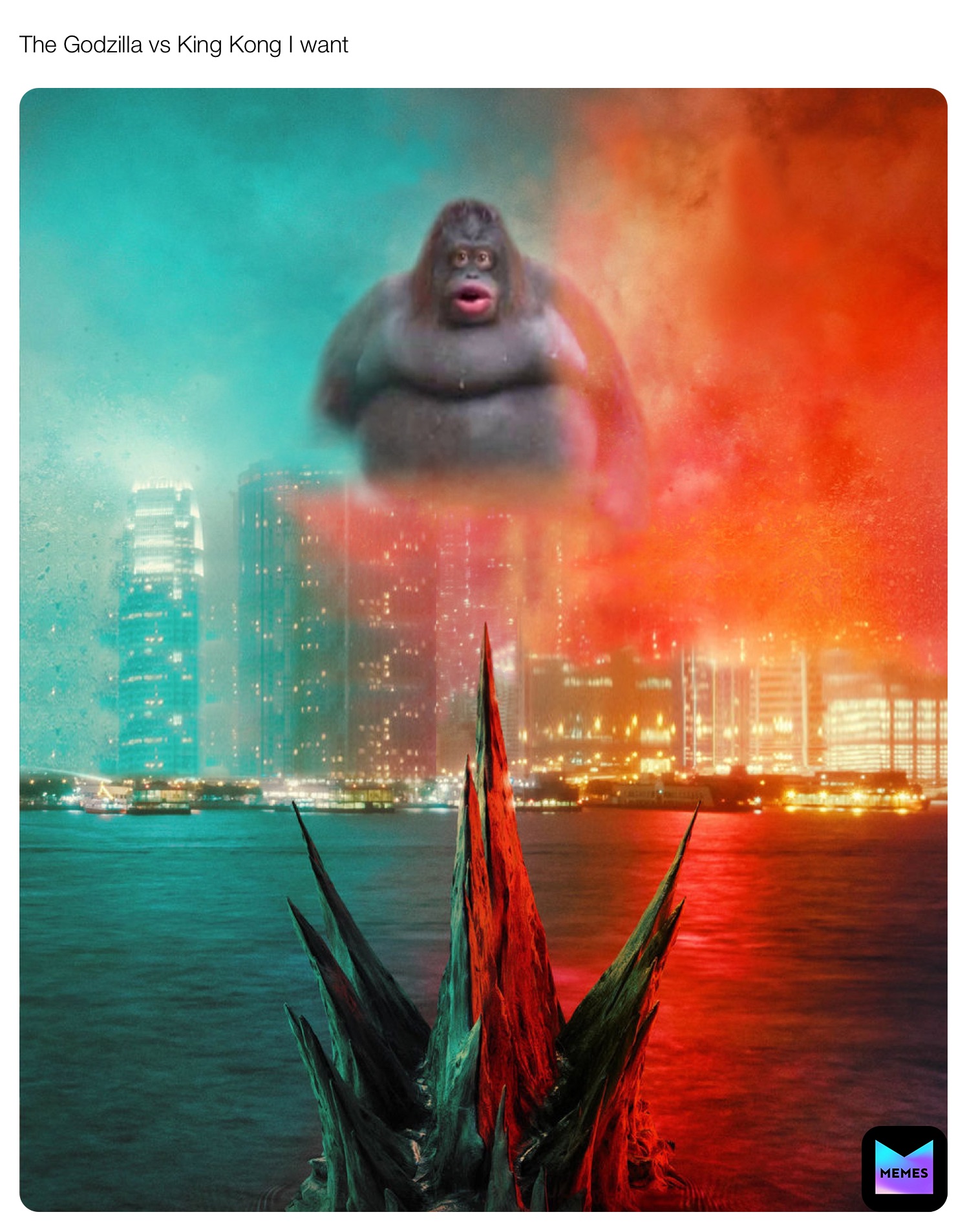 The Godzilla vs King Kong I want