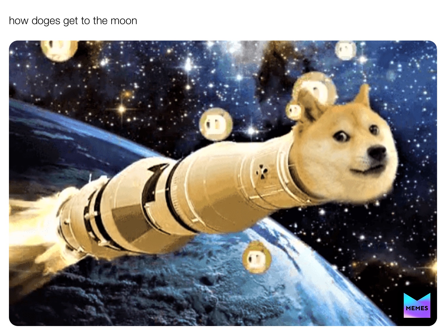 how doges get to the moon