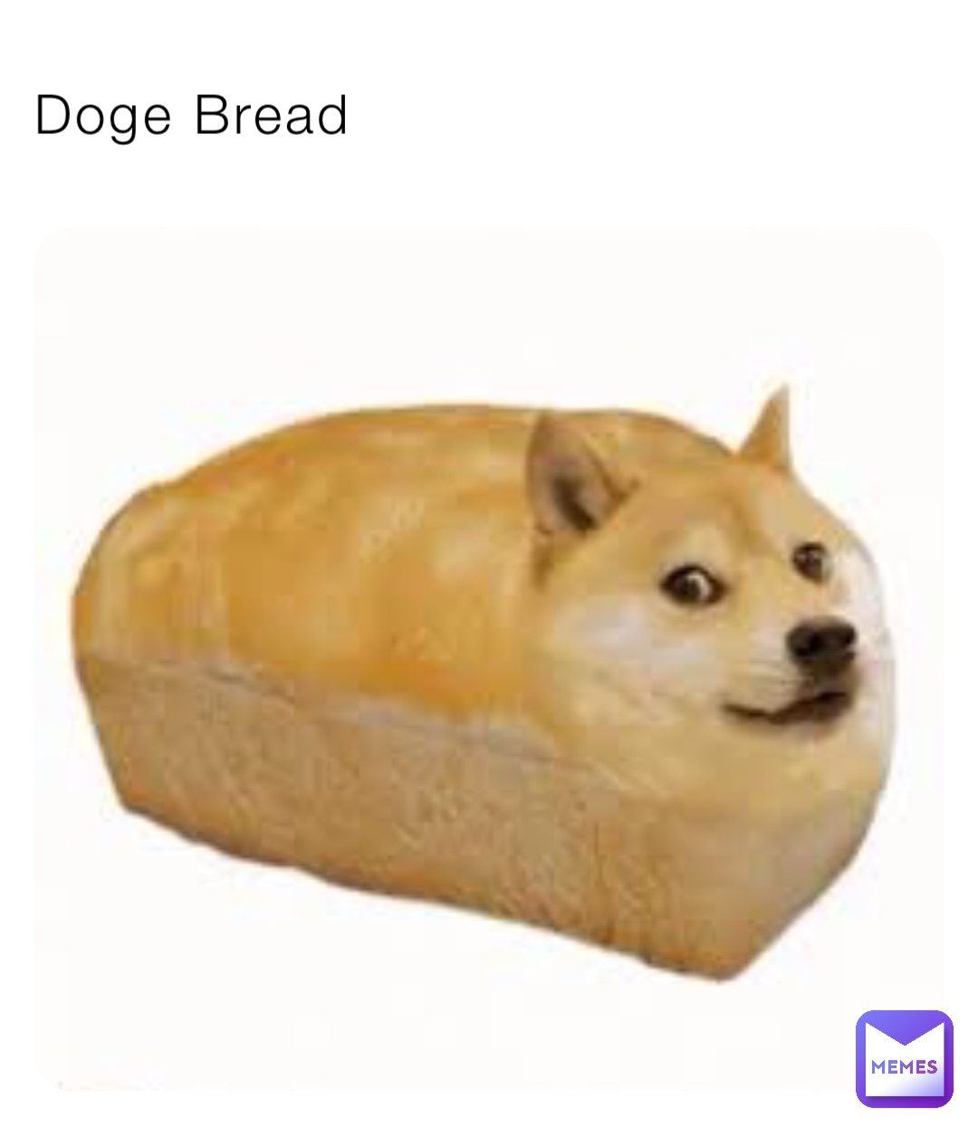 Doge Bread