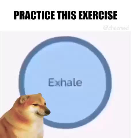 Meme shared by @thedailymememaster