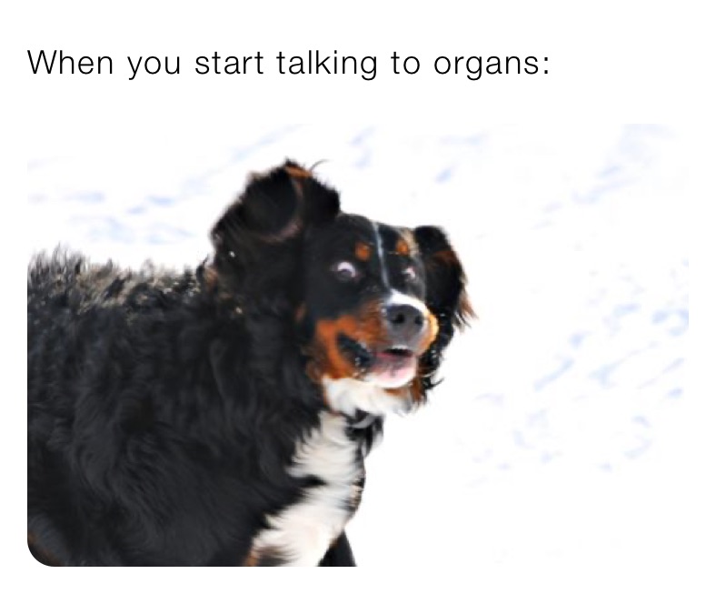 When you start talking to organs: