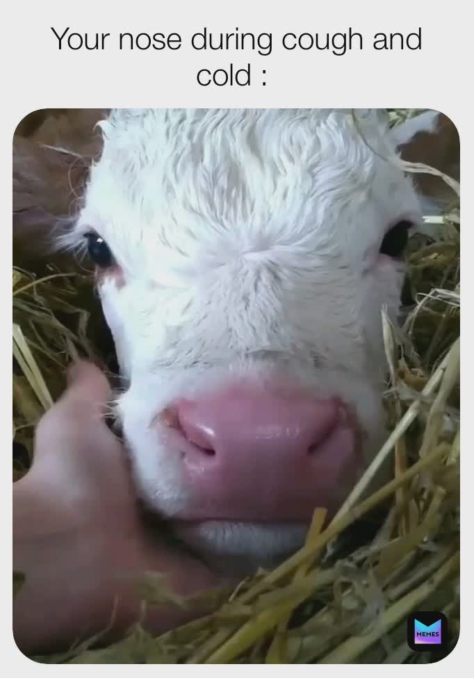 Meme by Shambhavisingh