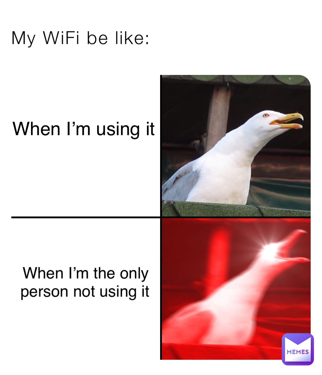 My WiFi be like: When I’m using it When I’m the only person not using it